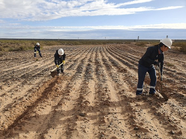 Vehículo de trabajo de Physis SAS en el terreno