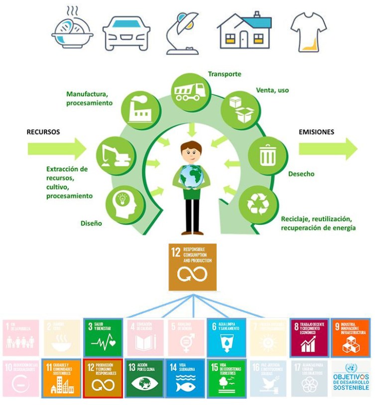 Infografía de huella de carbono y Objetivos de Desarrollo Sostenible